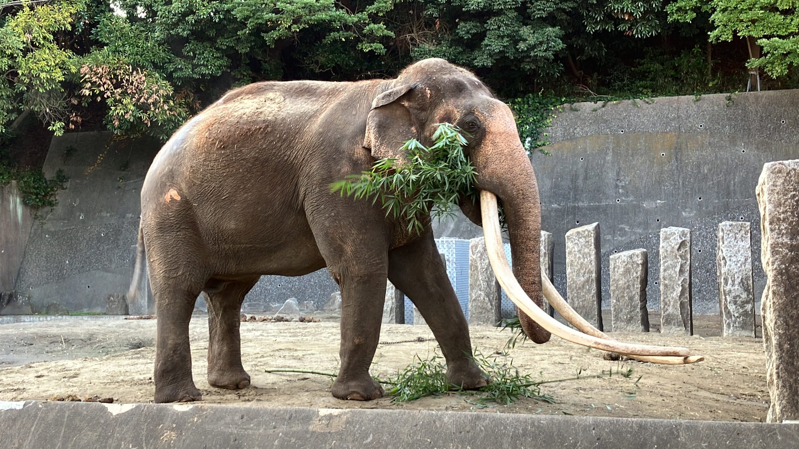 ネイチャーポジティブ（生物多様性保全）視察・体験会②を開催しました